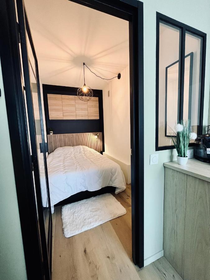Strasbourg, Appartement Cosy Au Bord De L Eau المظهر الخارجي الصورة