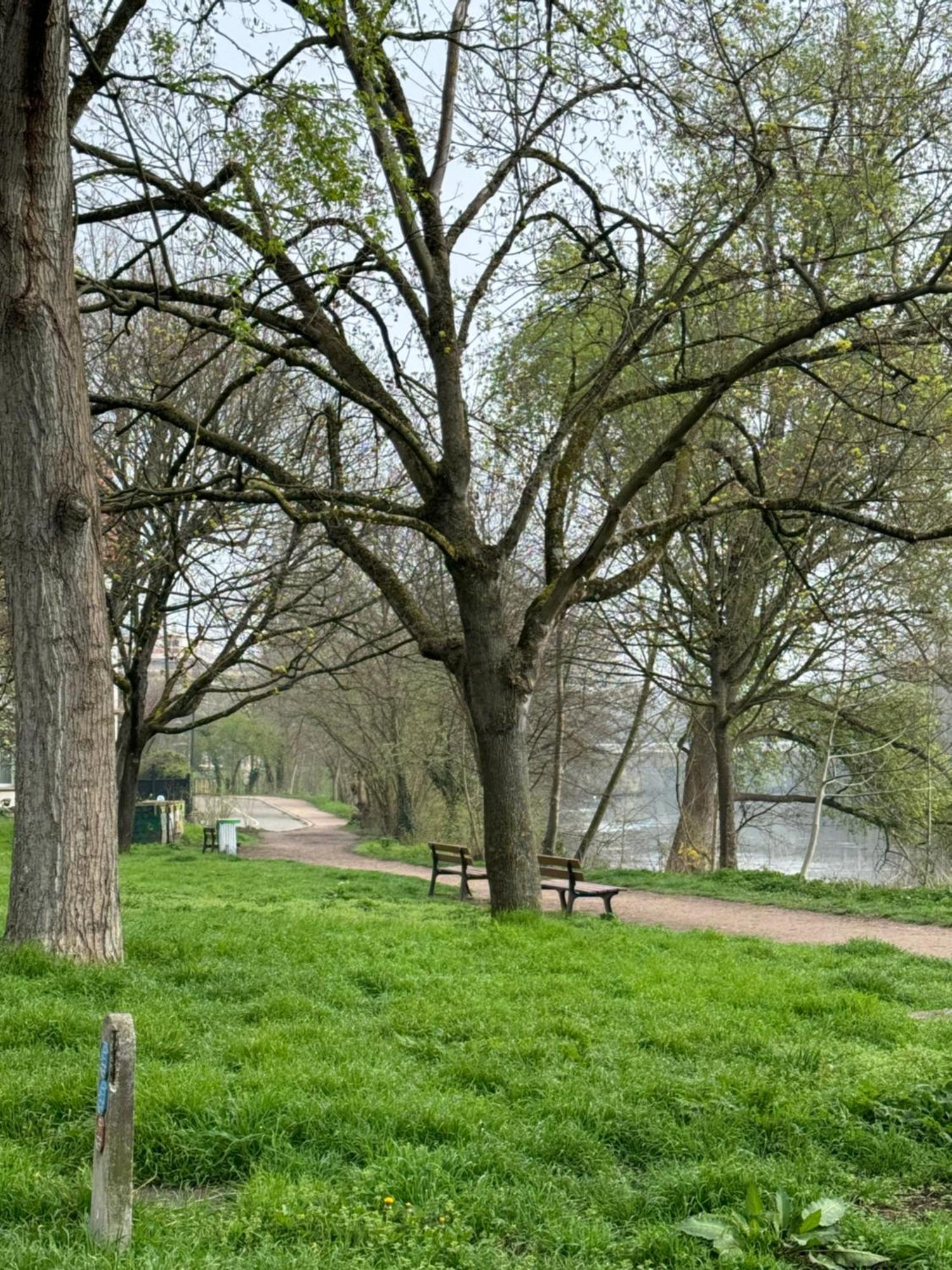 Strasbourg, Appartement Cosy Au Bord De L Eau المظهر الخارجي الصورة