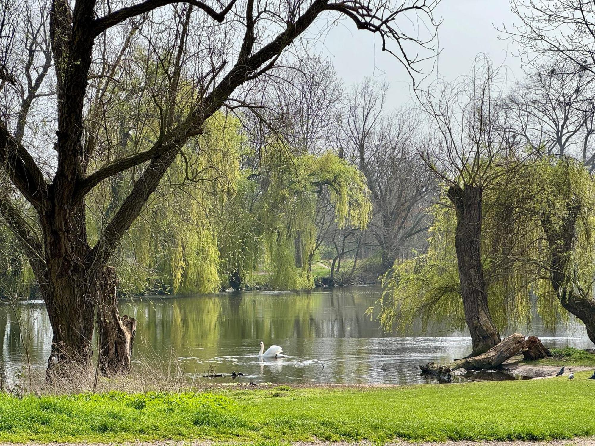 Strasbourg, Appartement Cosy Au Bord De L Eau المظهر الخارجي الصورة